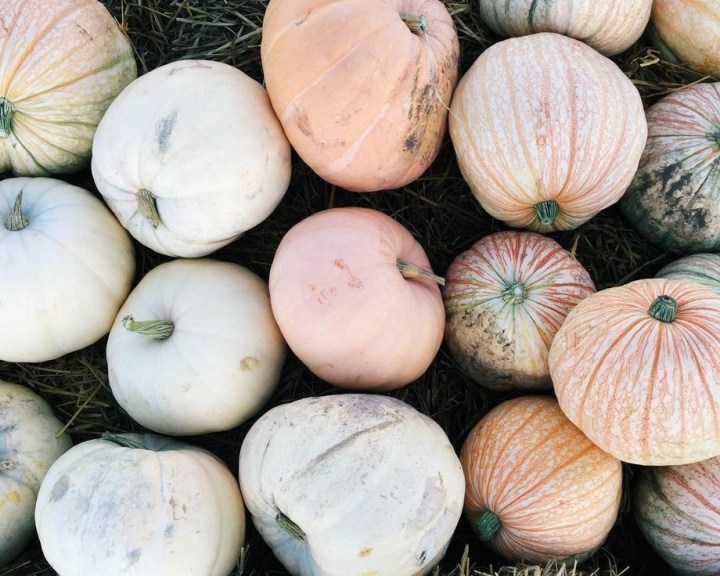 The Most Asked Question